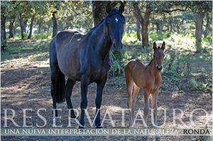 Reservenaturo Ronda