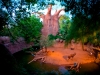 baobab-en-bioparc-fuengirola