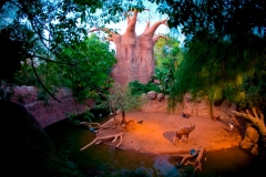 baobab-en-bioparc-fuengirola